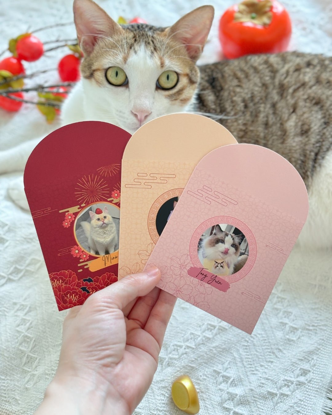 照片客製化 | 利是封 - Cat Widgets