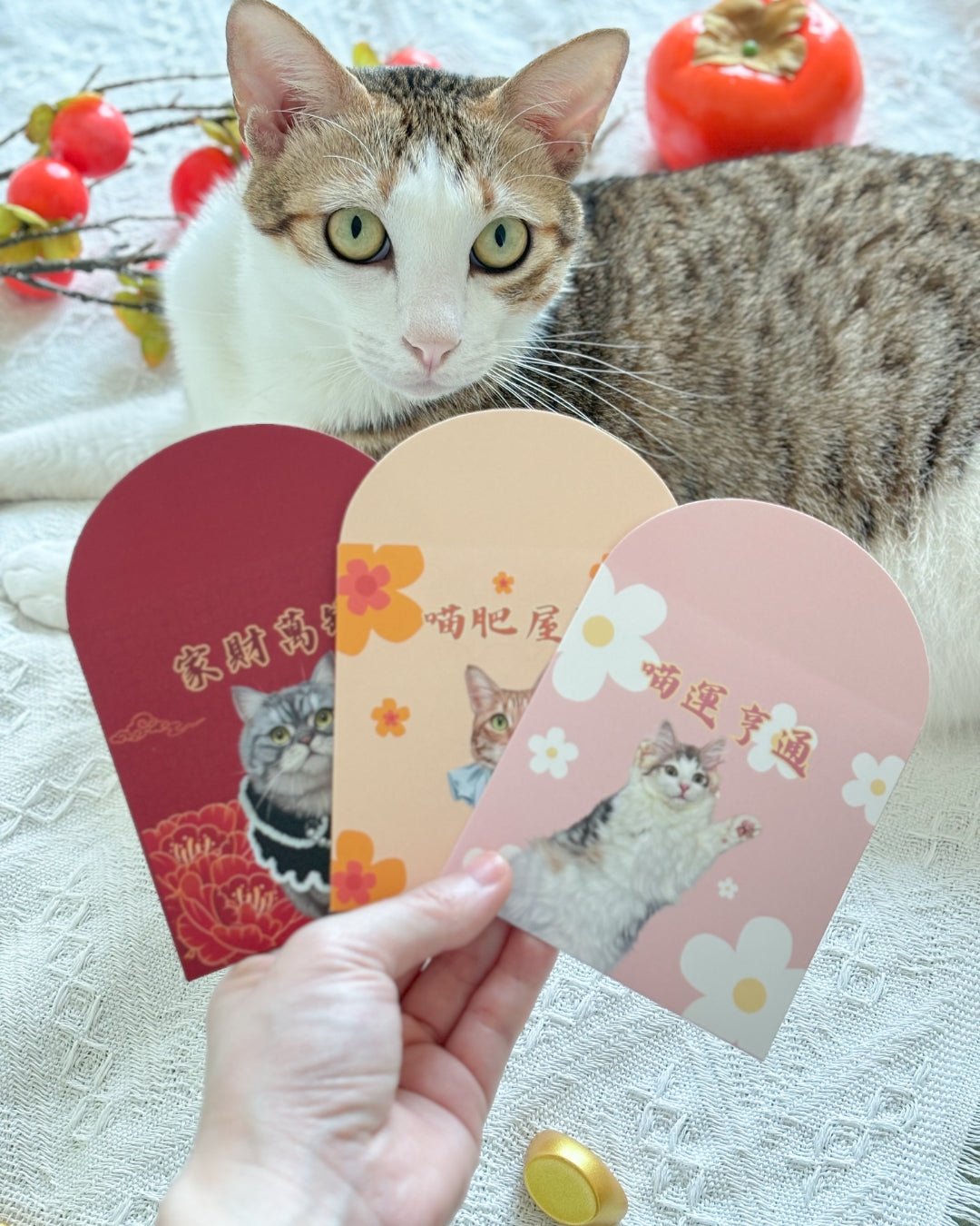 插畫客製化 | 利是封 - Cat Widgets
