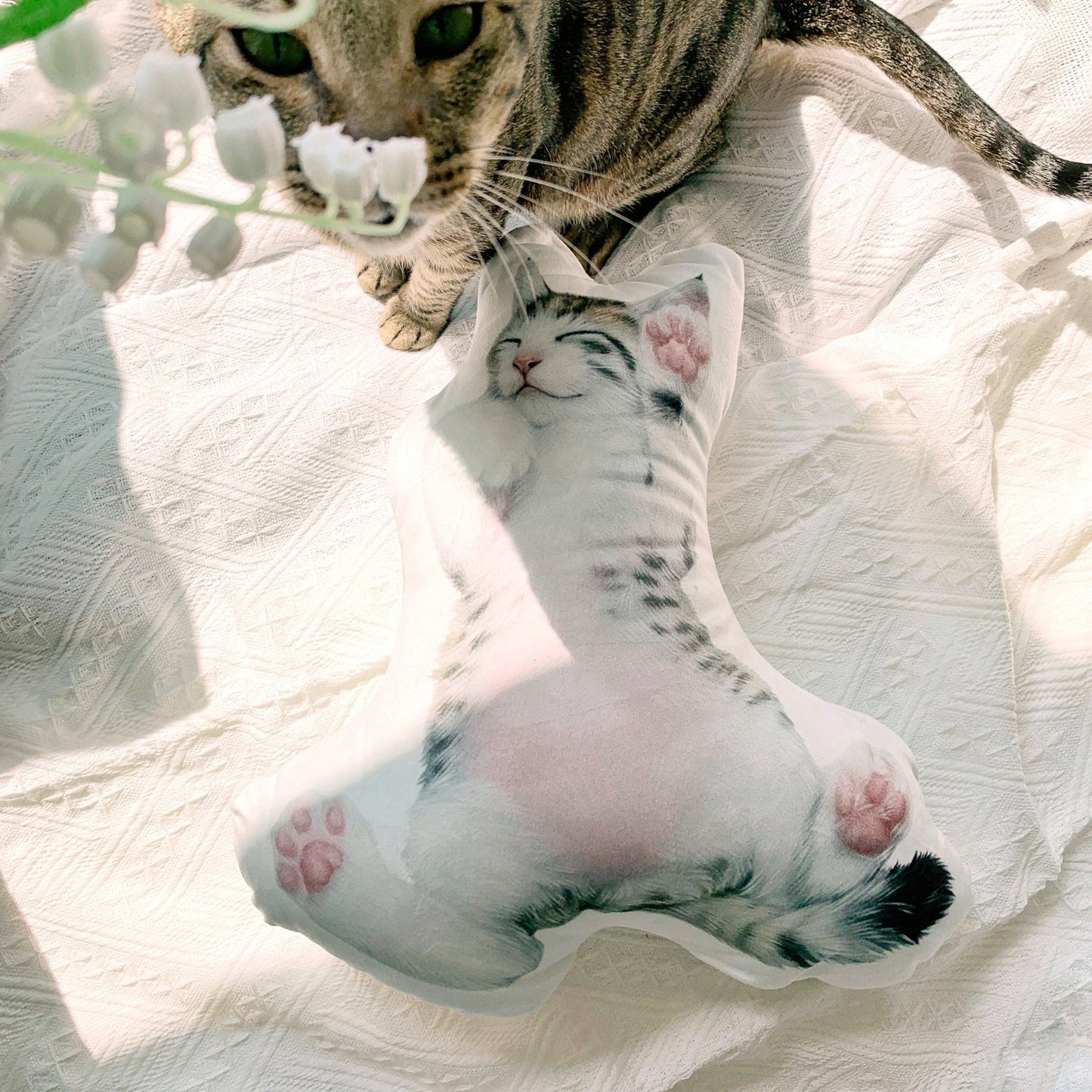 <可客製化> 全身 / 頭像抱枕 - Cat Widgets