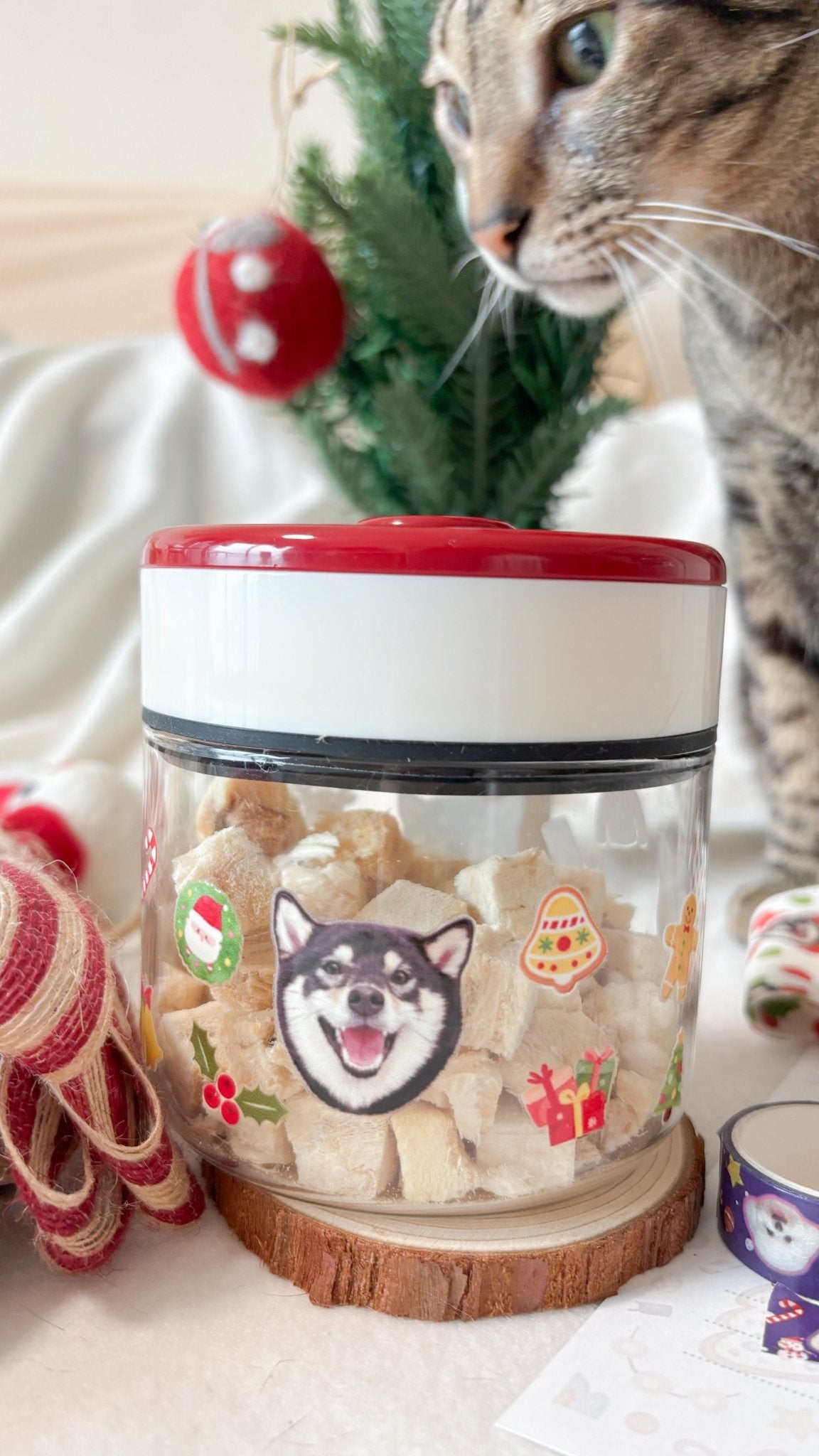 [聖誕套裝] 聖誕同行組 Petmas Buddy Pack 🎄 (寵物聖誕造型圍巾+真空零食瓶+紙膠帶MT) - Cat Widgets