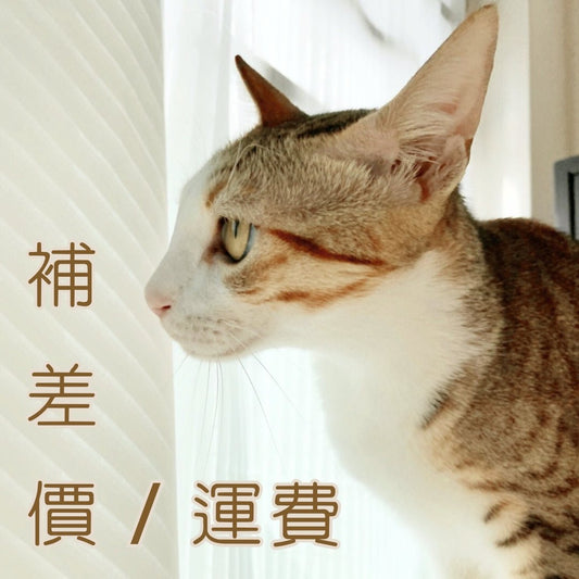 運費 | 補差價 - Cat Widgets