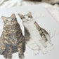[插畫客製化] 浮雕立體無框畫 - Cat Widgets