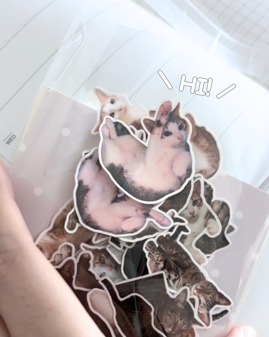 [只限團購] [照片客製化] 寵物客製化貼紙 - Cat Widgets