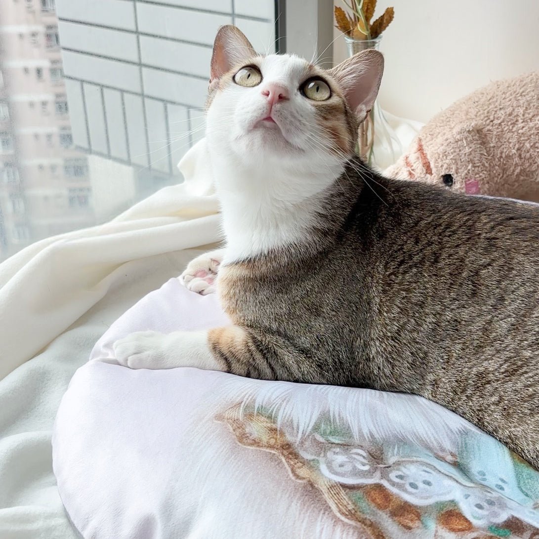 插畫客製化 | 寵物坐墊 – Cat Widgets