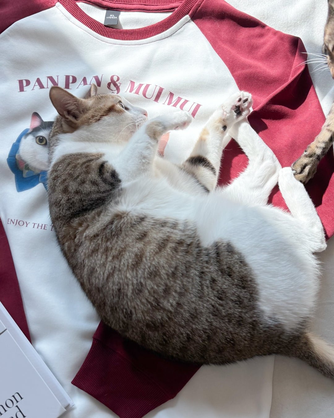 [插畫/照片客製化] 數碼直噴 ‧ 拼色純棉寬鬆衛衣 - Cat Widgets