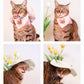 [插畫/照片客製化] 寵物巾巾/帽帽 - Cat Widgets