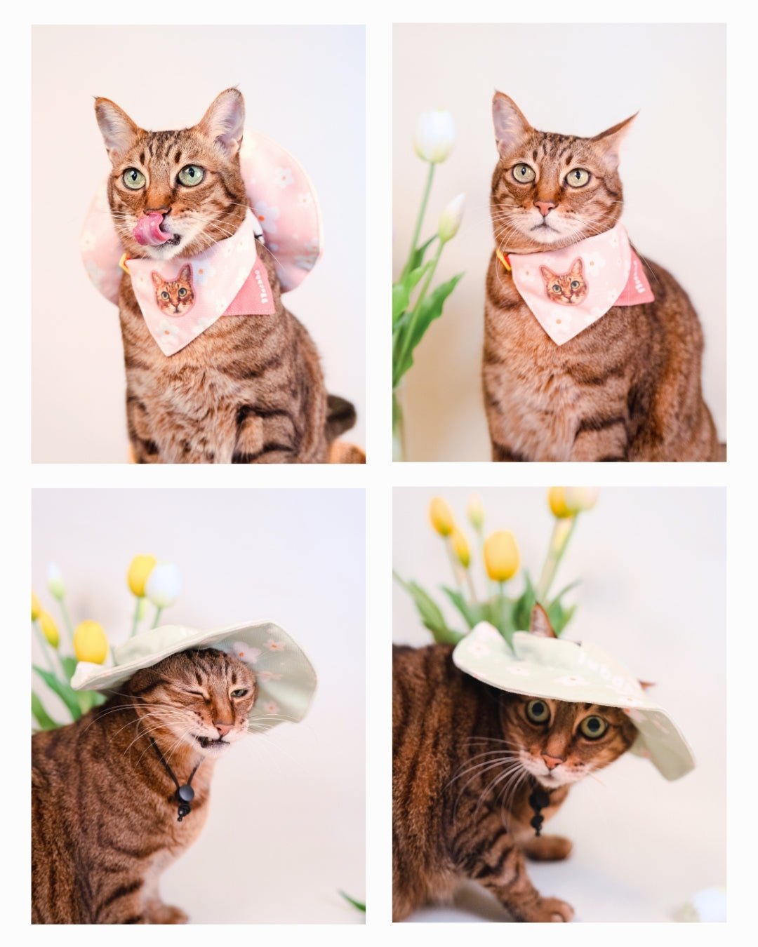 [插畫/照片客製化] 寵物巾巾/帽帽 - Cat Widgets