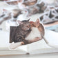 [只限團購] [照片客製化] 寵物客製化貼紙 - Cat Widgets