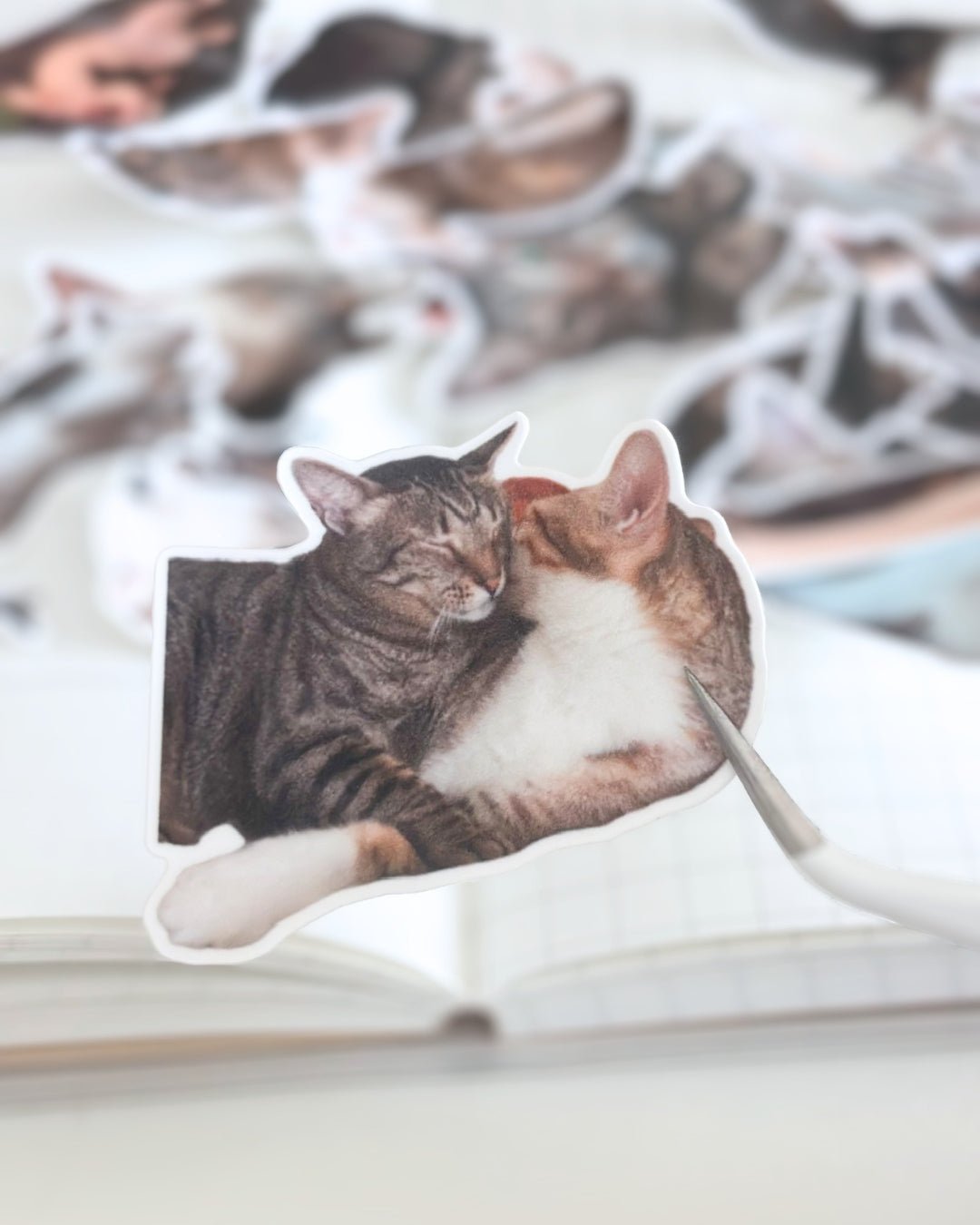 [只限團購] [照片客製化] 寵物客製化貼紙 - Cat Widgets
