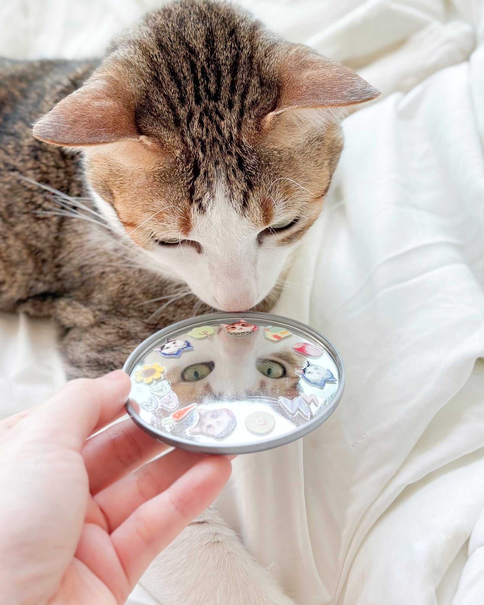 [只限團購] [插畫/照片客製化] 自拍圓鏡 - Cat Widgets