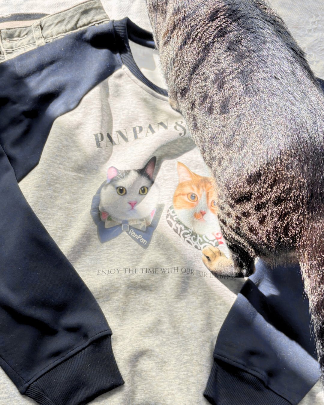 [插畫/照片客製化] 數碼直噴 ‧ 拼色純棉寬鬆衛衣 - Cat Widgets