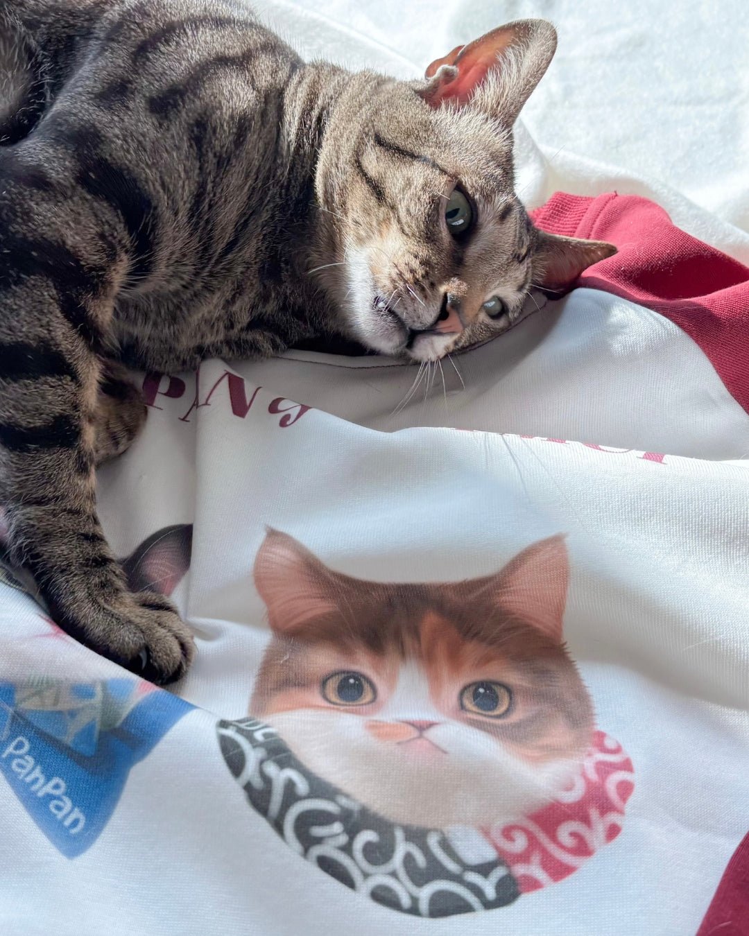 [插畫/照片客製化] 數碼直噴 ‧ 拼色純棉寬鬆衛衣 - Cat Widgets