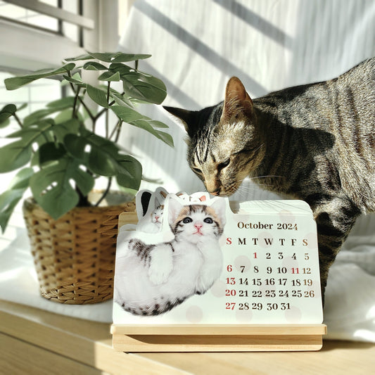 <可客製化> 座枱月曆 - Cat Widgets